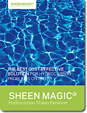 sheen-magic-broch